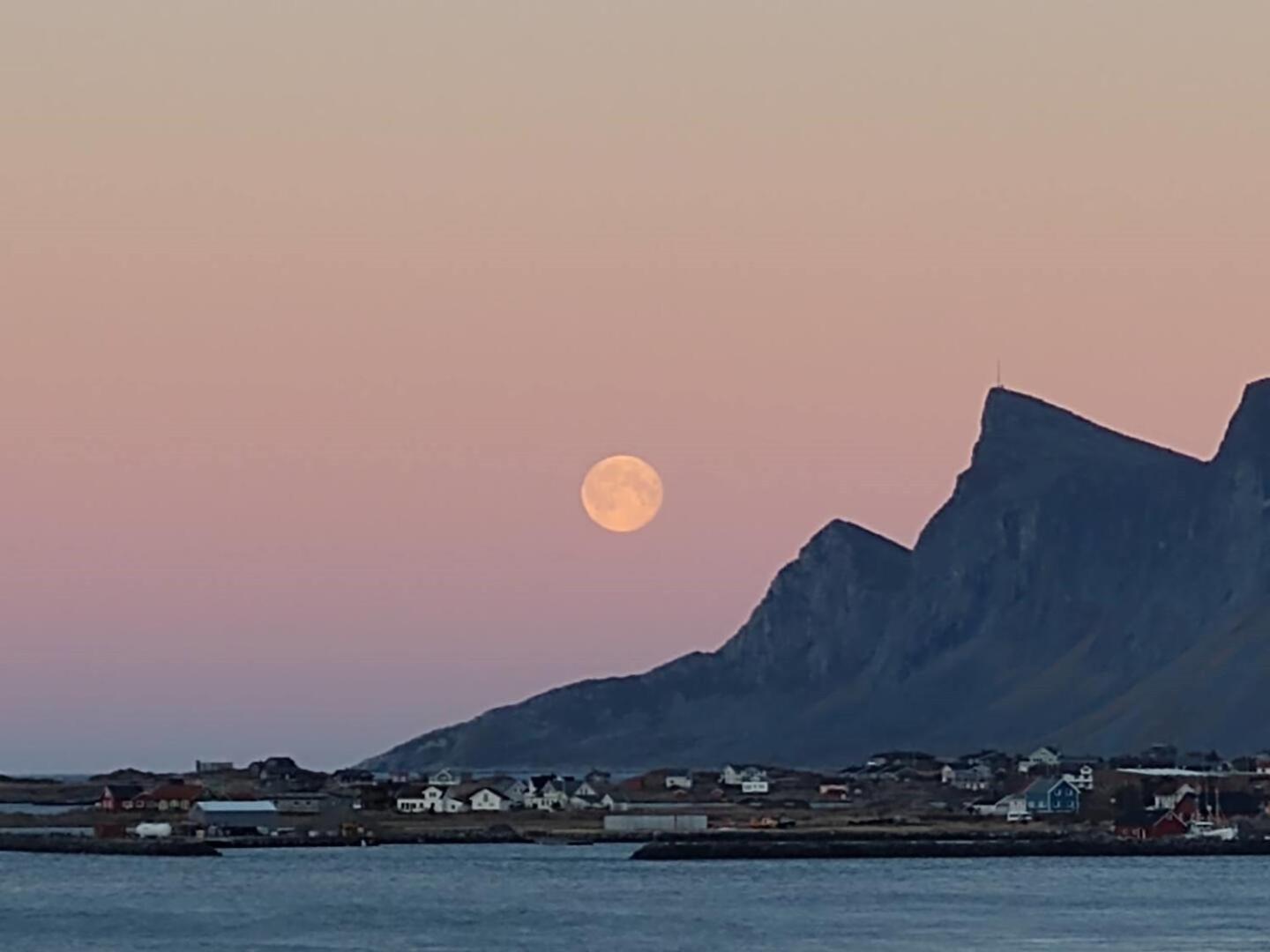Fredvang Farm House - Lofoten Kültér fotó