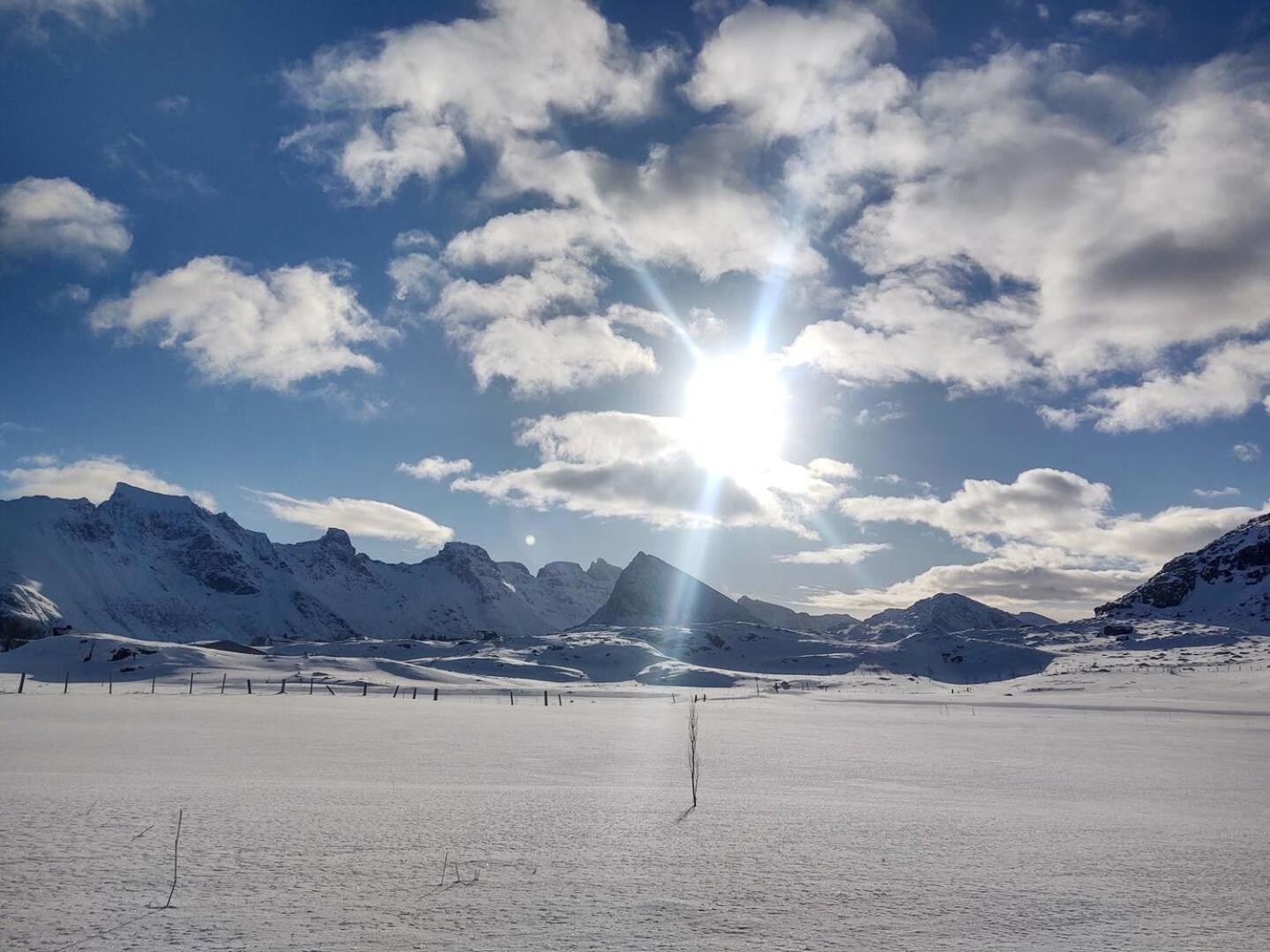 Fredvang Farm House - Lofoten Kültér fotó