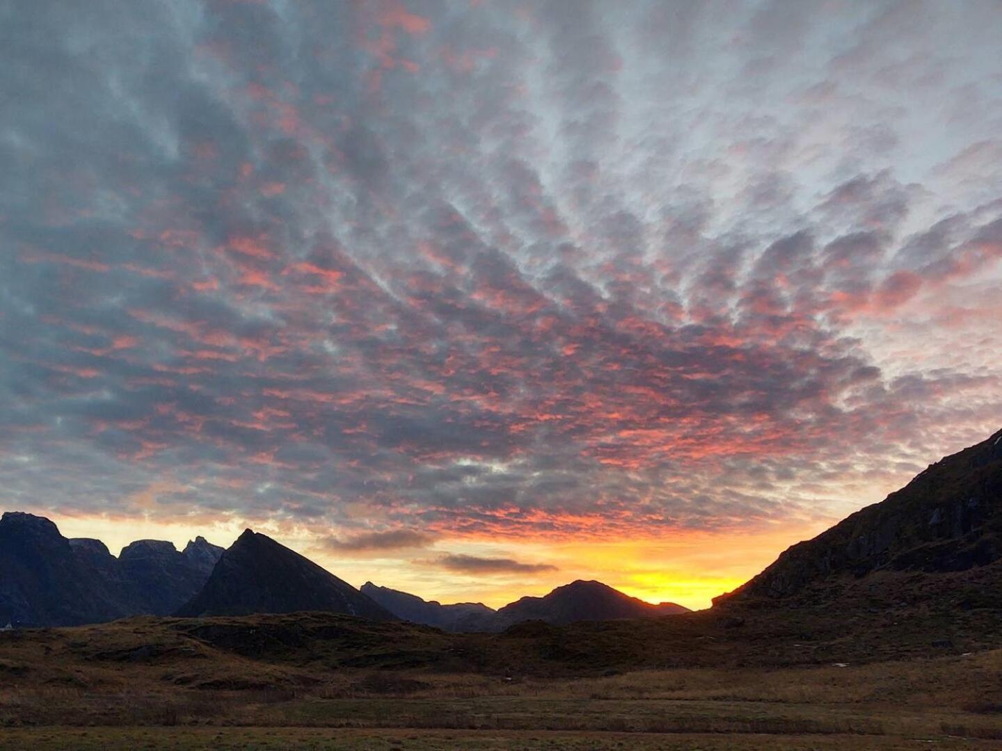 Fredvang Farm House - Lofoten Kültér fotó