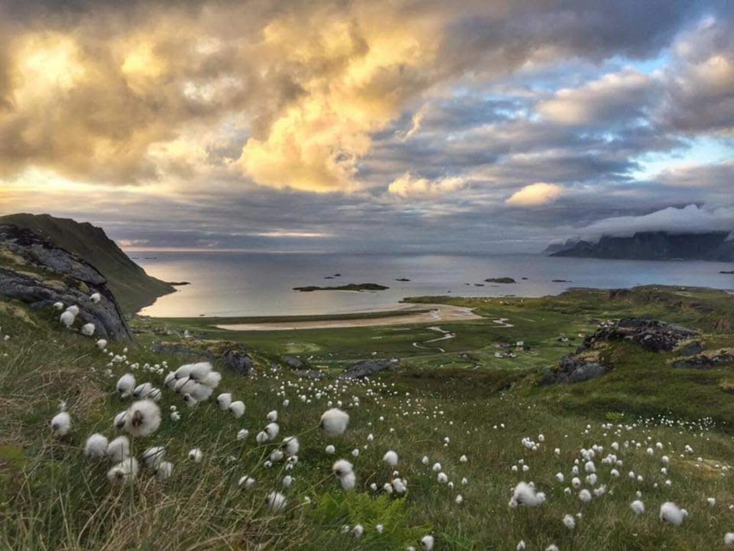 Fredvang Farm House - Lofoten Kültér fotó